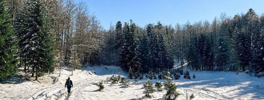 planinarenje (1000 x 380 piks.)