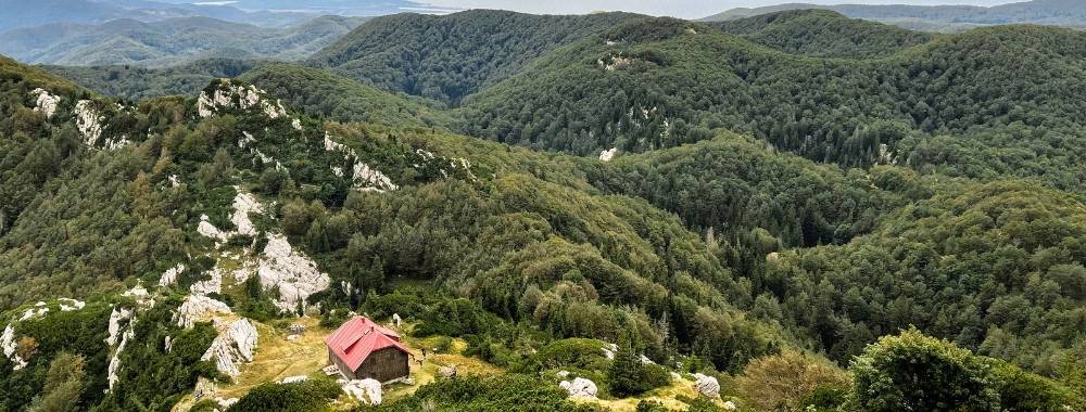 Risnjak_Crni Lug