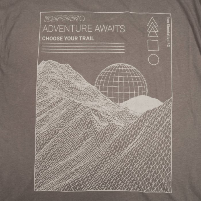 Icepeak MOORETON, muška majica za planinarenje, siva
