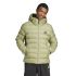 Adidas SDP INS JKT, muška jakna, zelena
