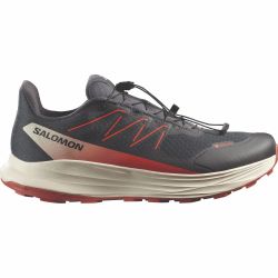 Salomon ALPHARIDE 2 GTX, muške tenisice za trail trčanje, siva