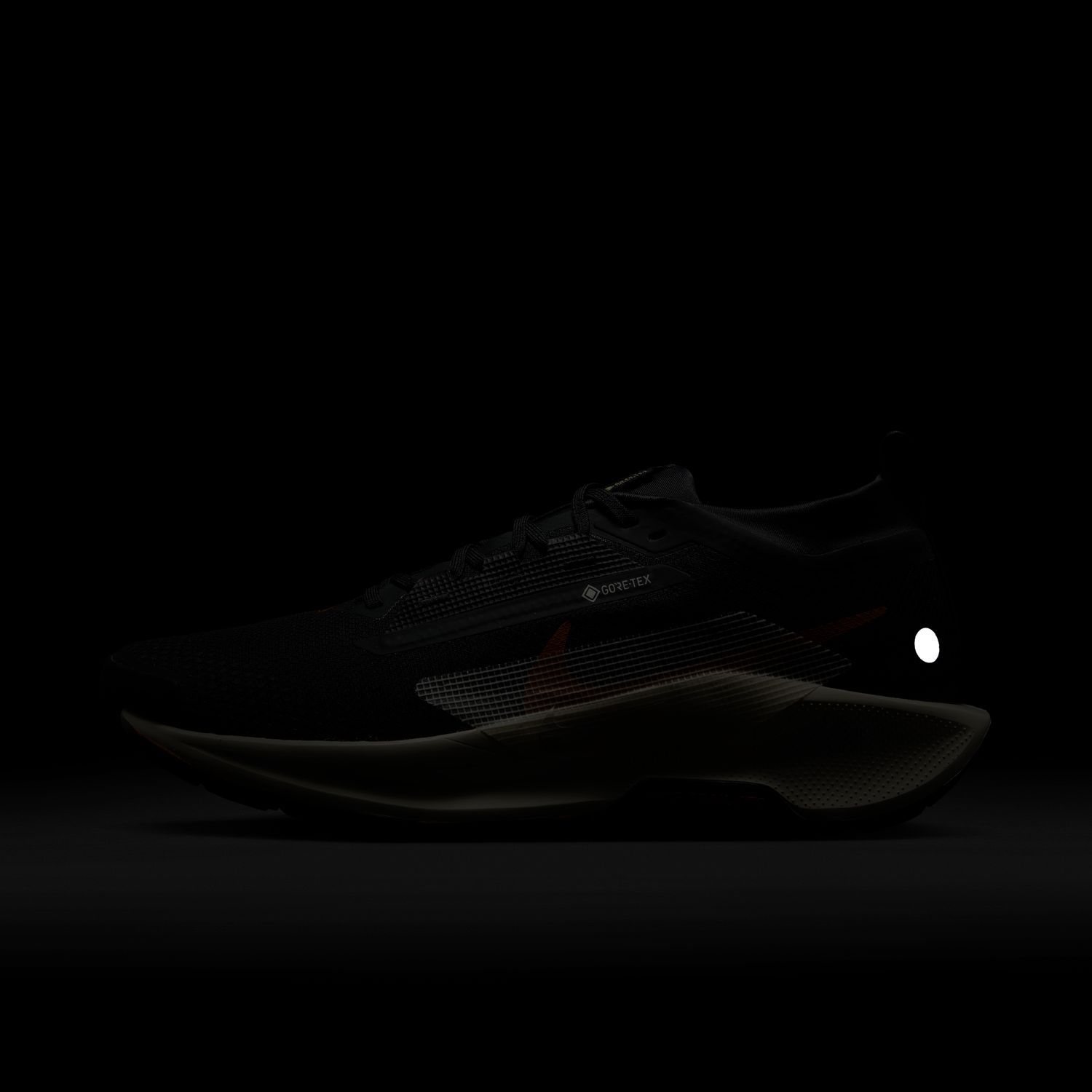 Nike PEGASUS TRAIL 5 GTX, muške tenisice za trail trčanje, crna