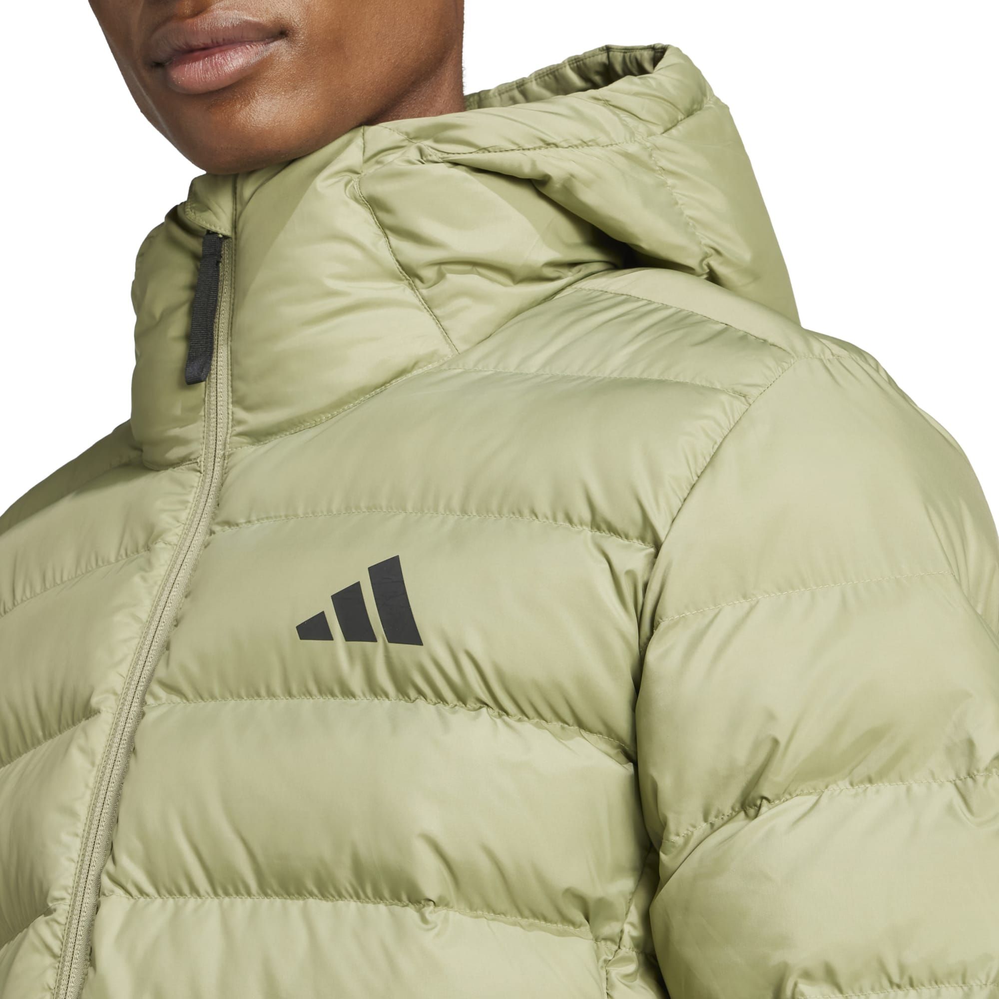 Adidas SDP INS JKT, muška jakna, zelena