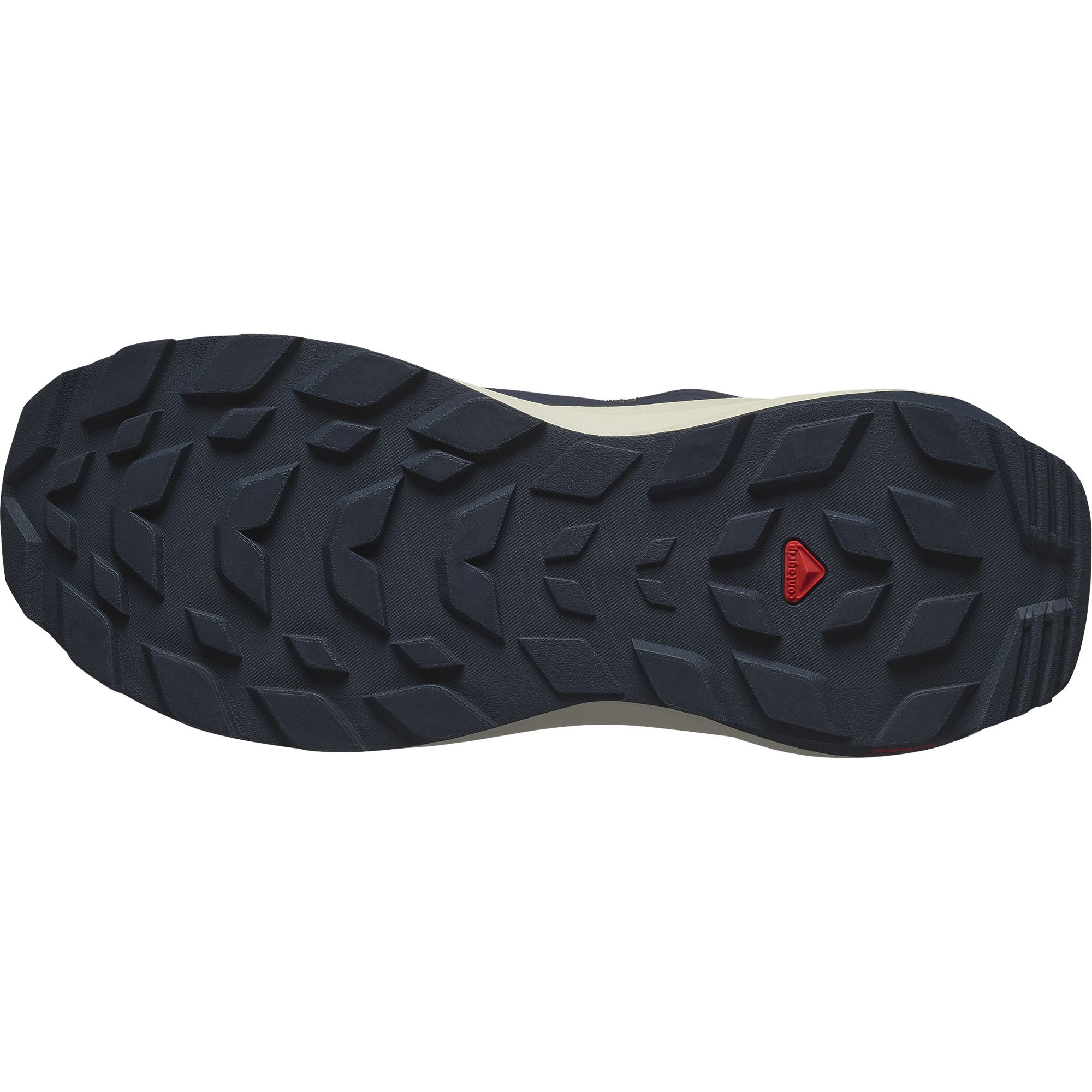Salomon ELIXIR GTX, cipele za planinarenje, plava