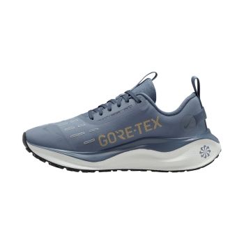 Nike W REACTX INFINITY RN 4 GTX, ženske tenisice za trčanje, srebrna