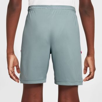 Nike K NK DF ACD25 SHORT K 7IN -PD, dječji dres hlače, siva