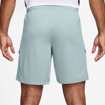 Nike M NK DF ACD25 SHORT K BR, muške hlače, siva