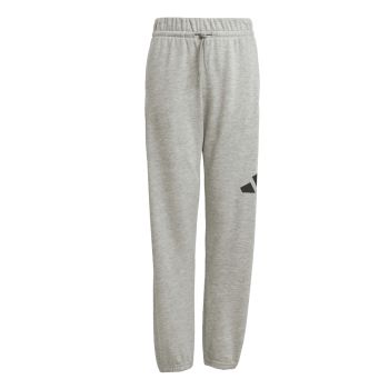 Adidas J BL FT PT 280, dječje hlače, siva