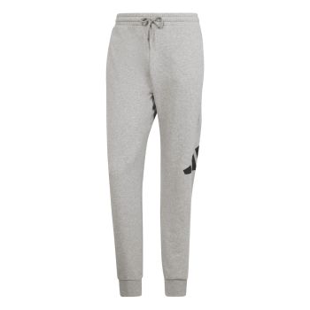 Adidas M BL FT PT, muške hlače, siva