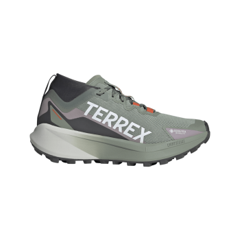 Adidas TERREX AGRAVIC GTX W, ženske tenisice za trail  trčanje, siva