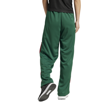 Adidas W TIRO GC WL PT, ženske hlače, zelena