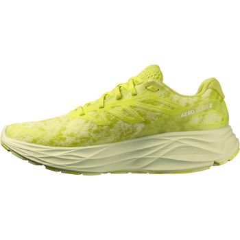 Salomon AERO GLIDE 2, muške tenisice za trčanje, zelena