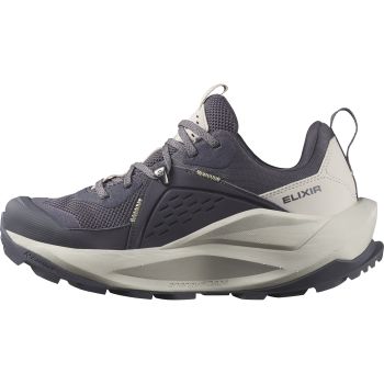 Salomon ELIXIR GTX W, cipele za planinarenje, siva