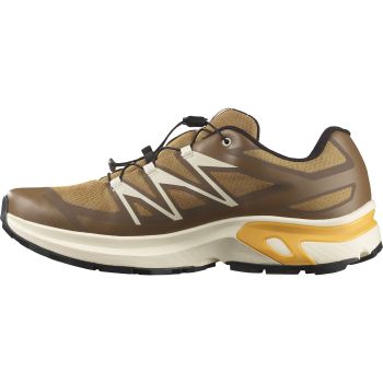 Salomon XT-EVR GTX, muške tenisice za slobodno vrijeme, smeđa