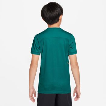 Nike K NK DF ACD25 TOP SS -PD, dječja majica za nogomet, zelena