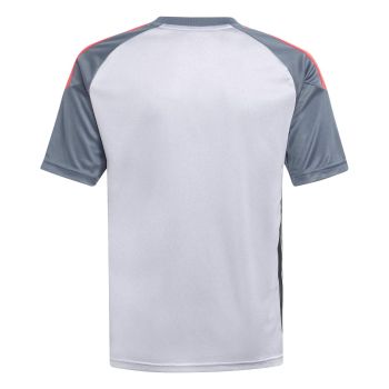 Adidas TIRO ES JSY Y, dječji nogometni dres, siva