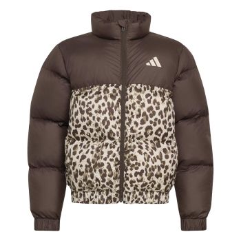 Adidas JG SD AOP JKT, dječja jakna, smeđa