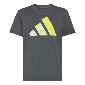 Adidas J BL TEE 160, dječja majica, siva