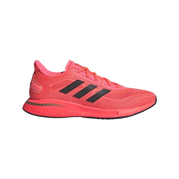 Supernova intersport