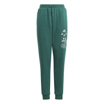 Adidas J BLUV Q3 PANT, dječje hlače, zelena