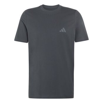 Adidas M TERREX G T, muška majica za planinarenje, siva