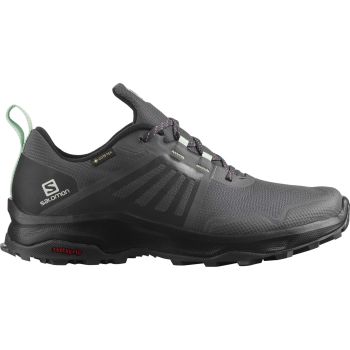 Salomon X-RENDER GTX W, cipele za planinarenje, siva