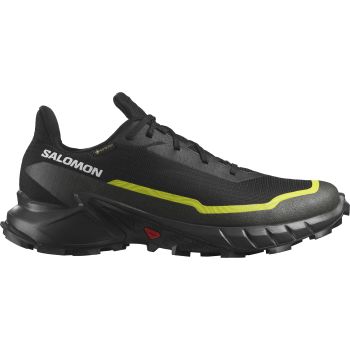 Salomon ALPHACROSS 5 GTX, muške tenisice za trail trčanje, crna