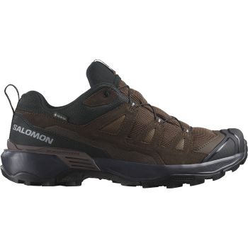Salomon X ULTRA 360 LTR GTX, cipele za planinarenje, smeđa