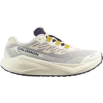Salomon AERO BLAZE 3 GRVL GTX, muške tenisice za trčanje, bež