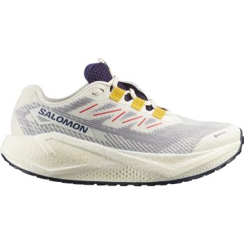 Salomon AERO BLAZE 3 GRVL GTX W, ženske tenisice za trčanje, bež